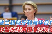 开云下载-波兰迎战匈牙利，冲击欧锦赛资格