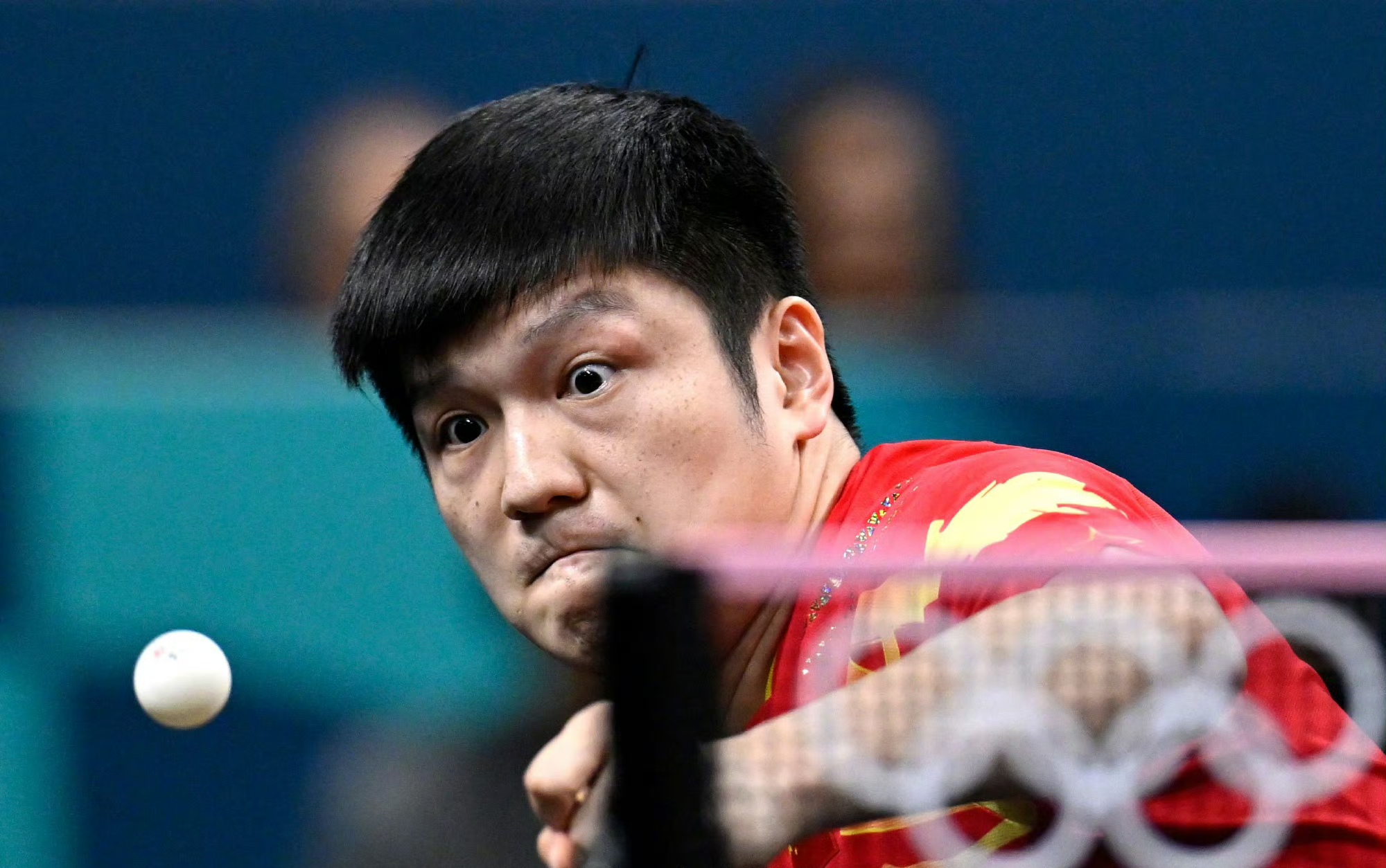 波兰乒乓球队逆转奥地利乒乓球队,樊振东高光表现的简单介绍 波兰乒乓球队逆转奥地利乒乓球队,樊振东高光表现的简单介绍