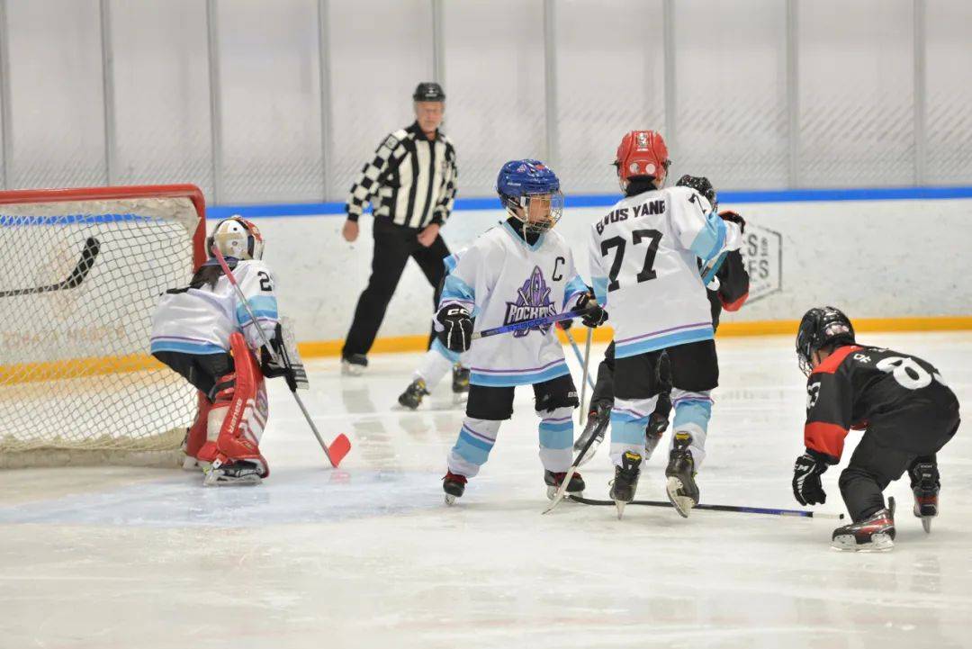 关于冰球热度飙升,网友热议不断的信息 关于冰球热度飙升,网友热议不断的信息