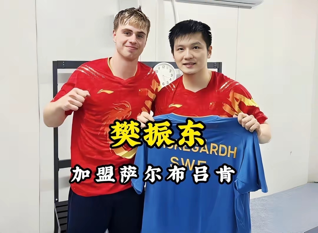 英格兰队险胜德国队，樊振东统治全场