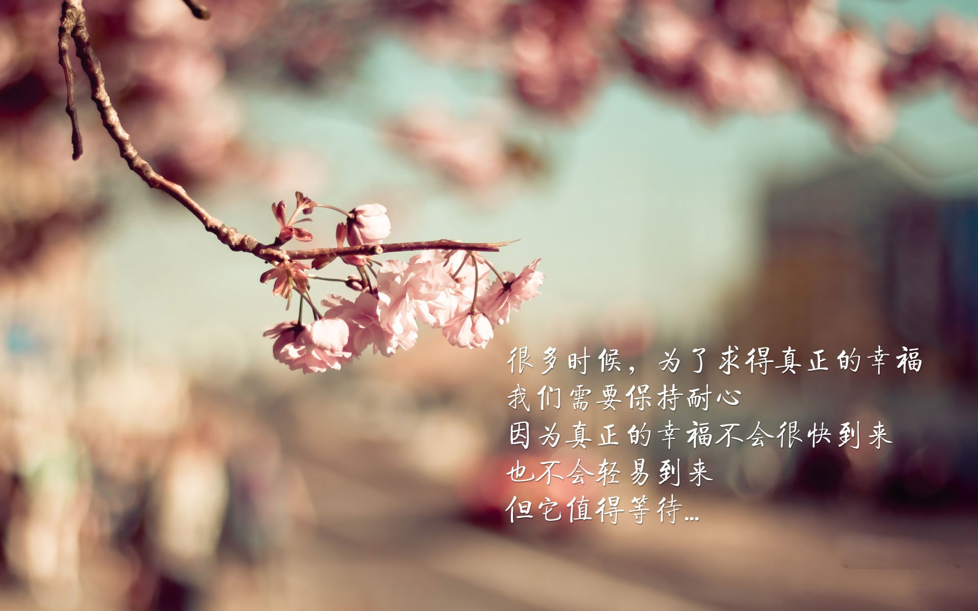 冠军脊梁，当巴斯托尼的防守哲学与墨西哥门神的十二码美学相遇