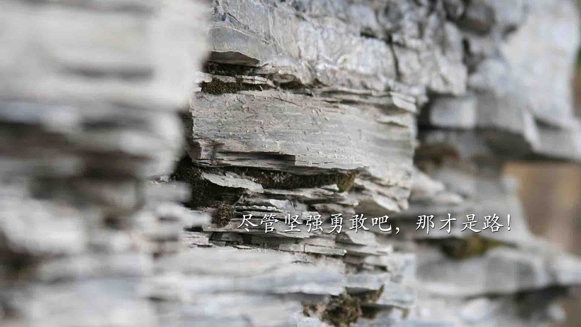 擎天白玉柱，劳天柱！劳塔罗关键绝杀助希腊掀翻奥地利