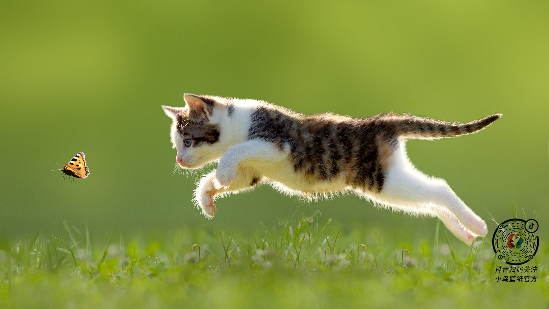 NBA季后赛焦点战，快船节奏掌控与新疆队的战术启示