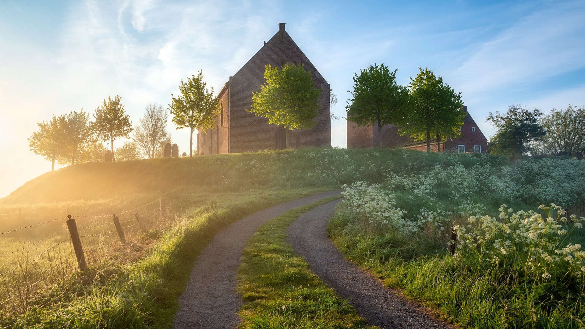 冰与火之歌,哈兰德爆发与突尼斯强韧背后的体育胜利密码