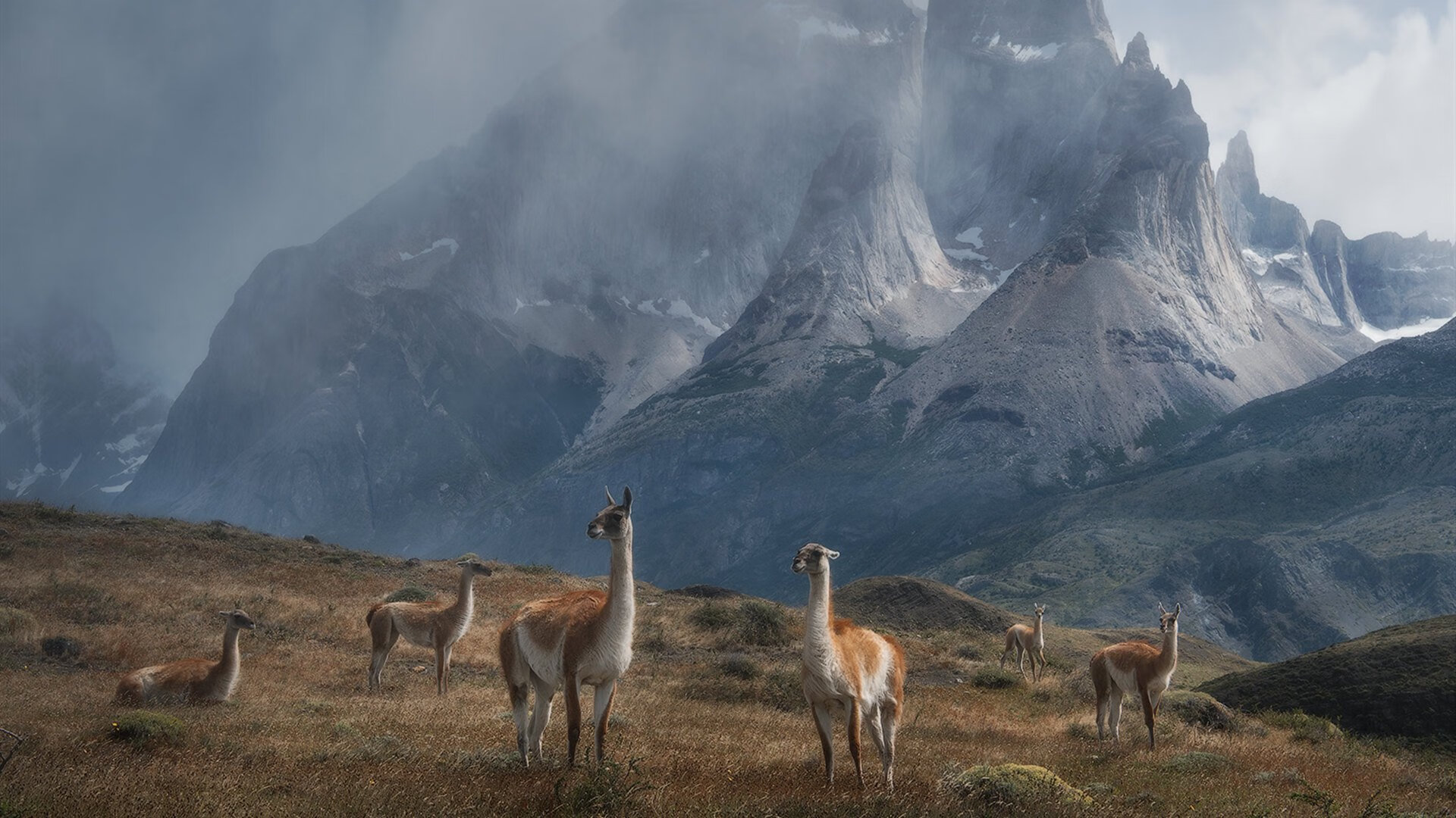保罗末节救主湖人轻取浙江，大场面先生诠释冠军底蕴