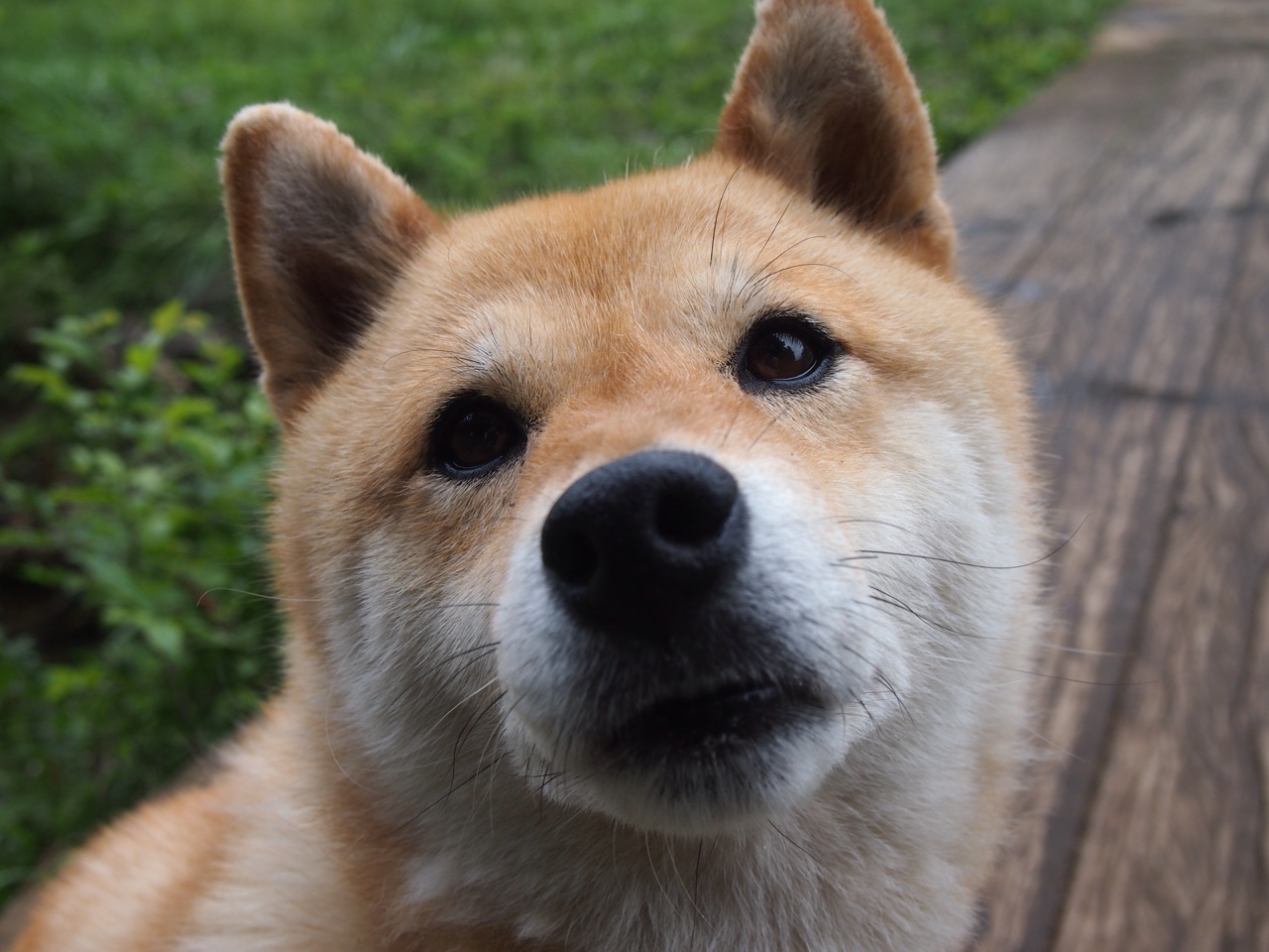 老兵的答案，保罗关键回合不手软，76人力克雄鹿锁定胜局