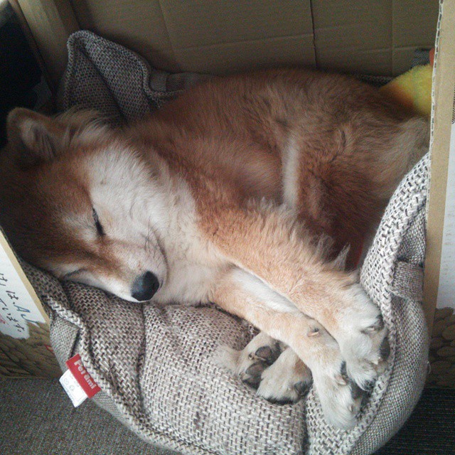 德甲争冠战白热化，雷恩加时赛惊险取胜拉齐奥—足球双线焦点演绎激情周末