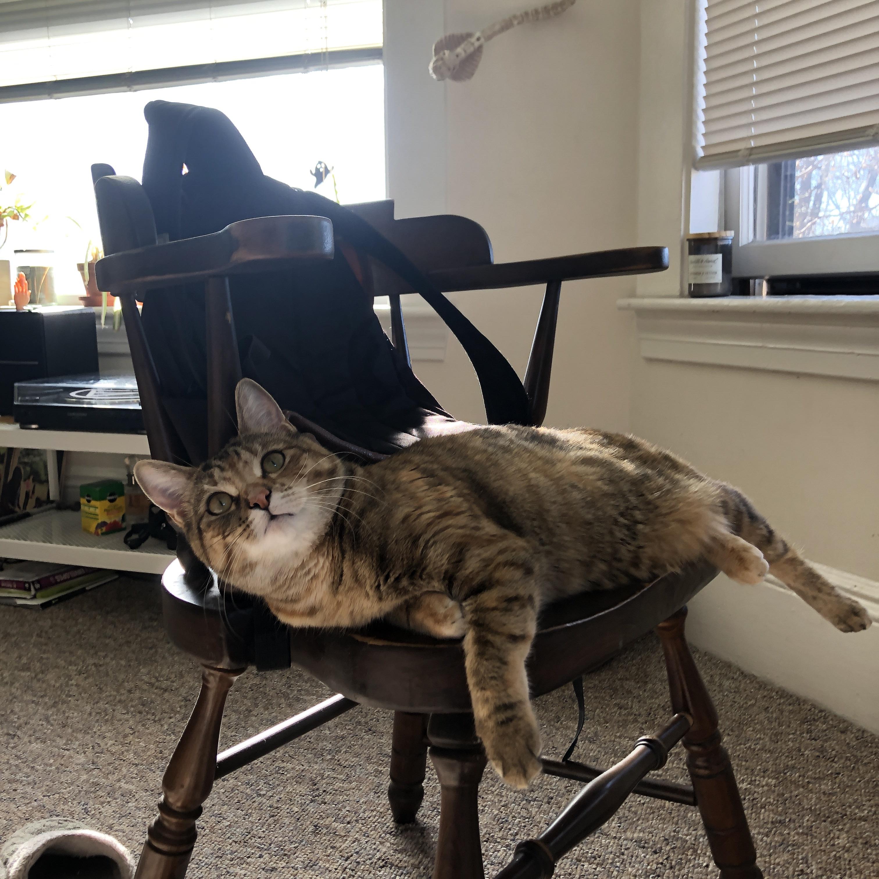 璀璨夜，美加墨世界杯焦点战与快船加时逆转骑士的激情交响