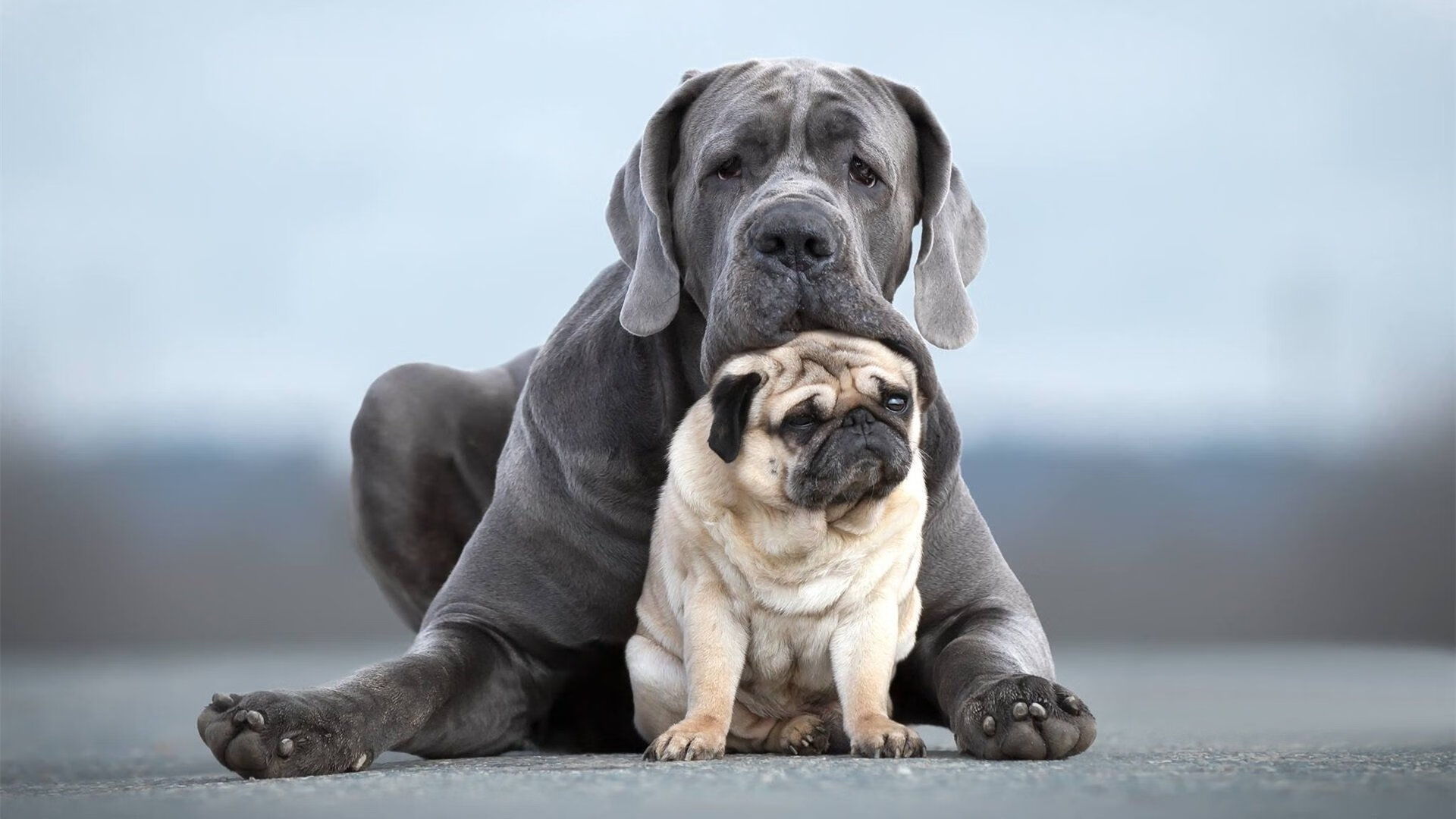 关键先生詹姆斯，热火速胜雷霆背后的王者逻辑