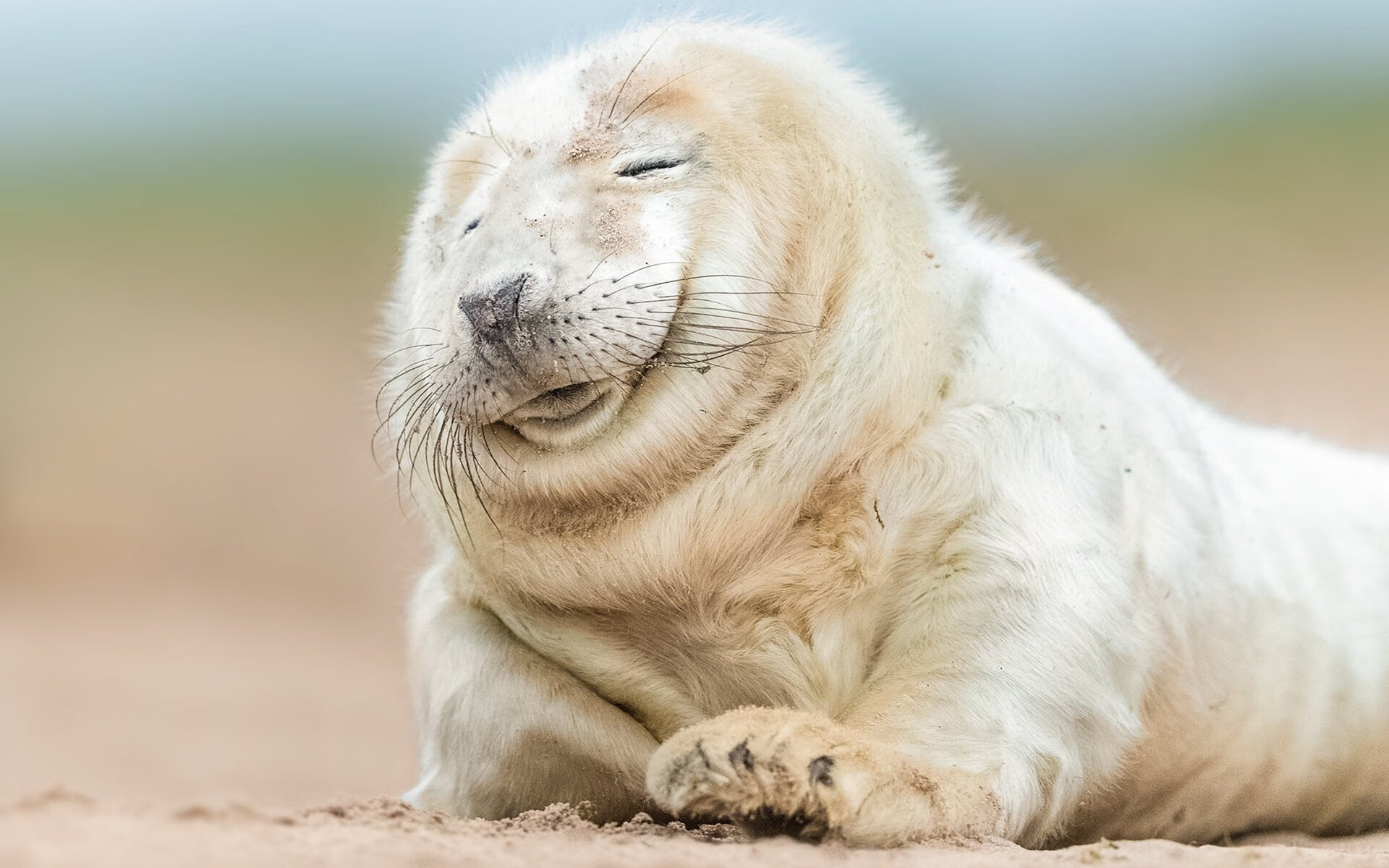 欧冠淘汰赛之夜，当恩比德的后撤步在禁区画出一道篮球场的单刀球