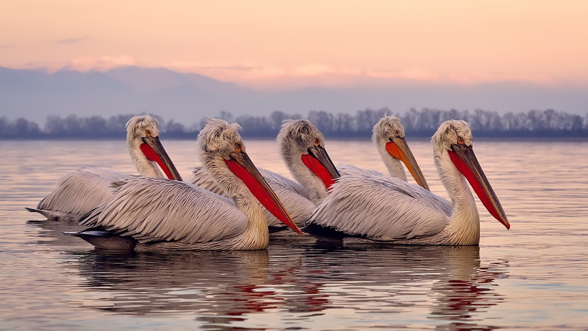 欧冠级攻防盛宴!公牛提前终结艺术让步行者悬念夜崩盘
