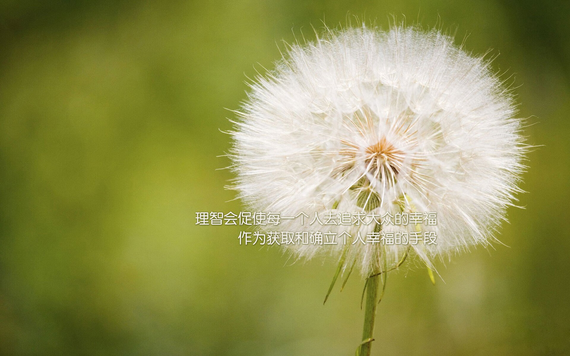 迪马利亚闪电两连击，年度焦点之战一夜失去悬念