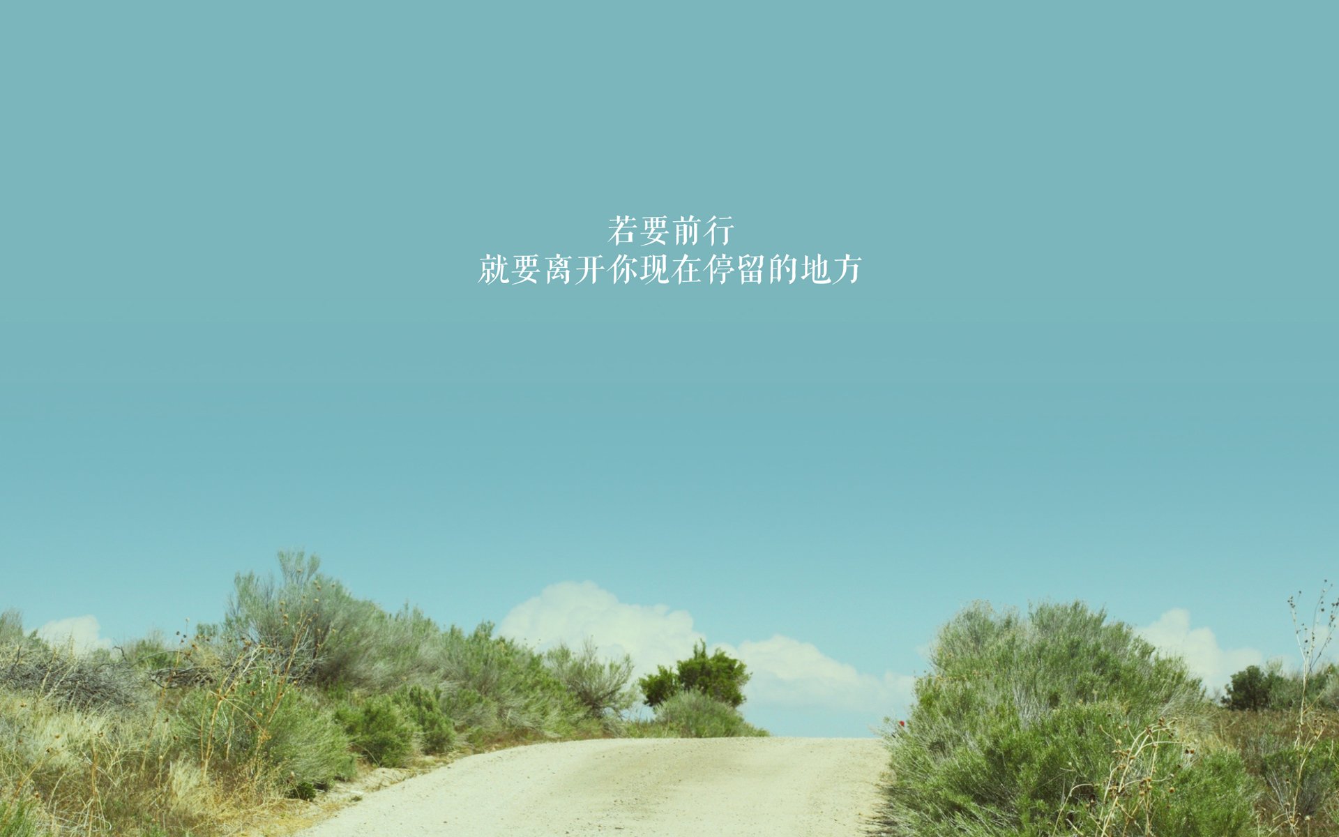 广厦队单节拉开太阳，拉梅洛2026世界杯接管比赛，篮球世界的双重闪耀